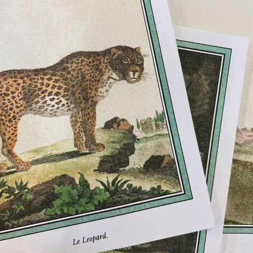 Блокнот Esh Print Le Leopard